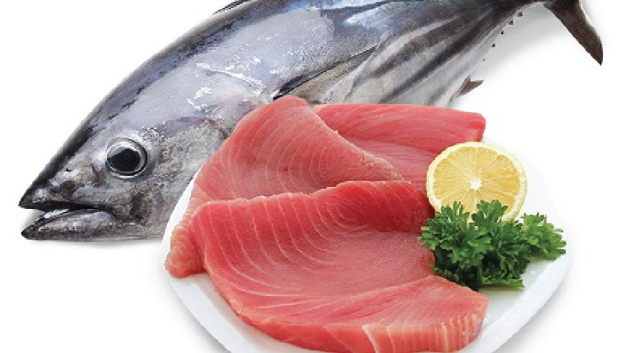 EU đưa ra giới hạn phụ gia trong cá ngừ để chống gian lận thực phẩm