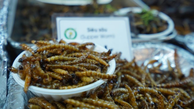 Thứ đặc sản “ông ăn”, “bà thích”, cả nhà đều vui