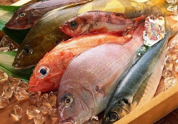 Ăn cá rất tốt nhưng 4 loại này không nên ăn thường xuyên kẻo thận hỏng sớm