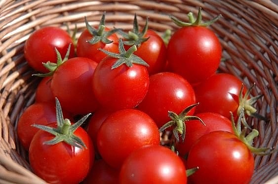 Những thực phẩm tốt cho người bị bệnh tim mạch