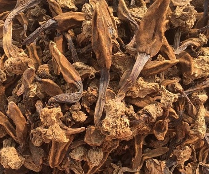 Nấm ngọc cẩu - món ăn có công dụng chữa bệnh