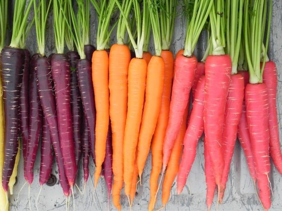Những lợi ích của cà rốt với sức khỏe có thể bạn chưa biết