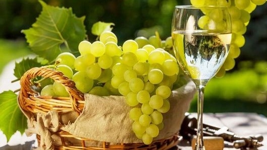 Công dụng tuyệt vời của nho