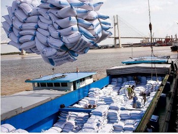 Giá gạo xuất khẩu của Việt Nam cao nhất trong vòng 15 năm