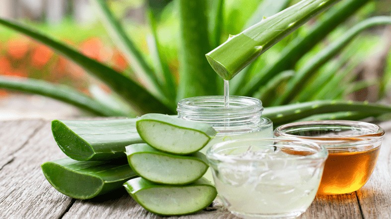 Mách bạn cách làm gel nha đam dưỡng da tại nhà