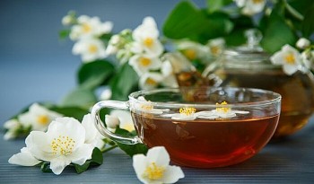 Những công dụng tuyệt vời của trà hoa nhài đối với sức khỏe