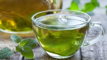 10 bài thuốc từ cây kinh giới mà bạn nên biết