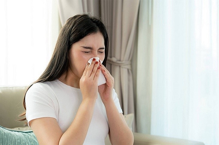 Công dụng của cây lá lốt đối với sức khỏe