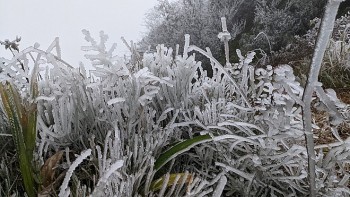 Thủ tướng yêu cầu các bộ ngành, địa phương chủ động phòng, chống rét đậm, rét hại kéo dài