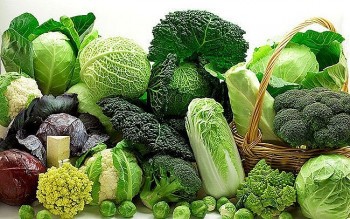 Những thực phẩm vàng giúp cải thiện trí nhớ