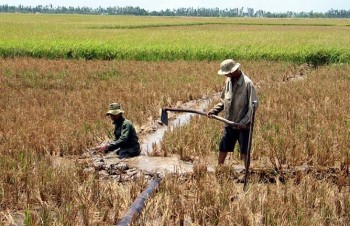 Thủ tướng yêu cầu tăng cường phòng, chống nắng nóng, hạn hán, thiếu nước, xâm nhập mặn