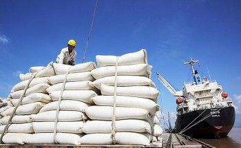 Nhận diện những yếu tố tác động đến hoạt động xuất khẩu gạo thời gian tới
