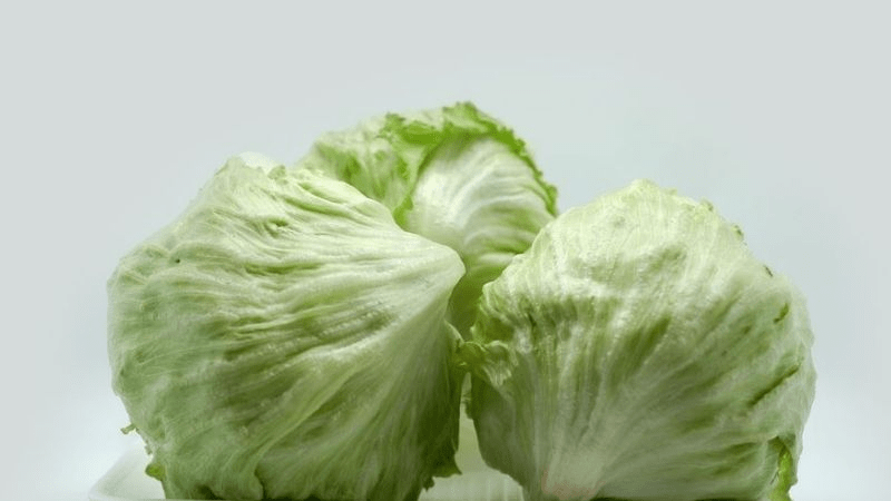 Xà lách Mỹ