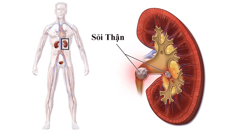 Ăn Cam giúp đẹp da, tốt cho sức khoẻ