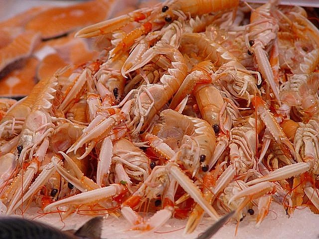 Tác dụng bất ngờ từ vỏ tôm