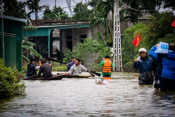 Bộ Y tế khuyến cáo người dân vùng bão lũ tuyệt đối không sử dụng gia súc, gia cầm chết chế biến thực phẩm