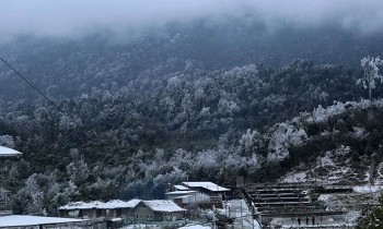 Thủ tướng yêu cầu chủ động ứng phó đợt rét đậm, rét hại kéo dài