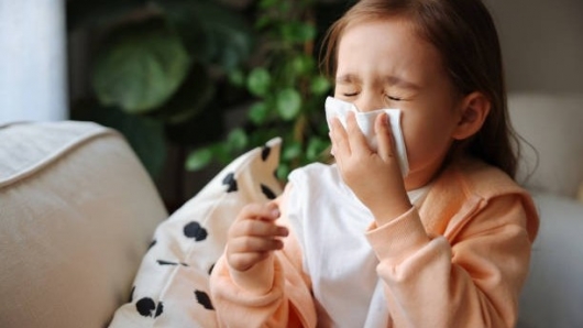 Bảo vệ sức khỏe người dân trước ảnh hưởng của rét đậm, rét hại