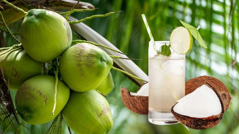 Nước dừa là thức uống tự nhiên, ít calo nhưng giàu vitamin và khoáng chất.