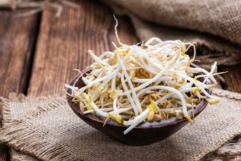 Ăn giá đỗ đúng cách, hấp thu canxi còn hiệu quả hơn cả cá