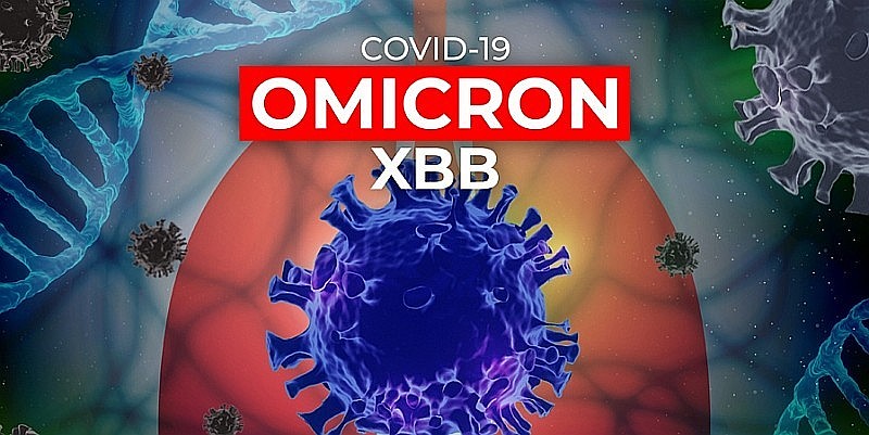 Theo Tổ chức Y tế Thế giới (WHO), biến thể phụ XBB.1.16 của Omicron đã xuất hiện từ năm 2023 và có khả năng lây lan nhanh.