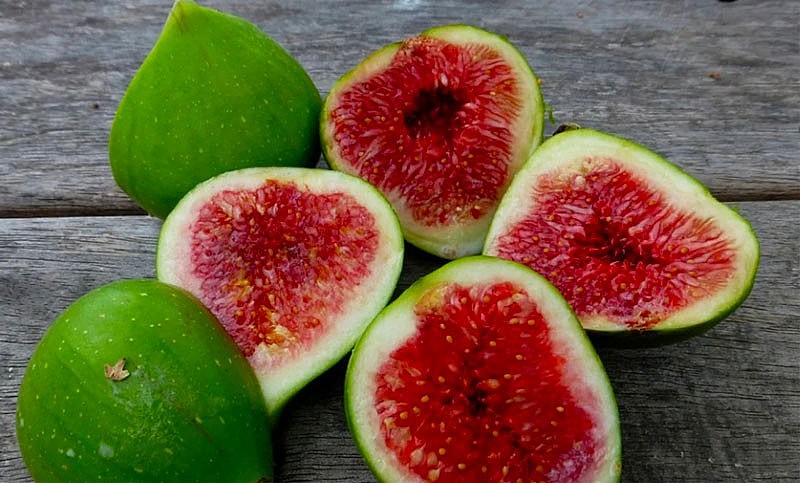 Trái sung nổi bật nhờ hàm lượng polyphenol – chất chống oxy hóa có khả năng bảo vệ tế bào và kiểm soát viêm nhiễm.