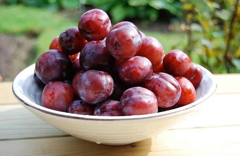 mận là loại trái cây được ưa chuộng