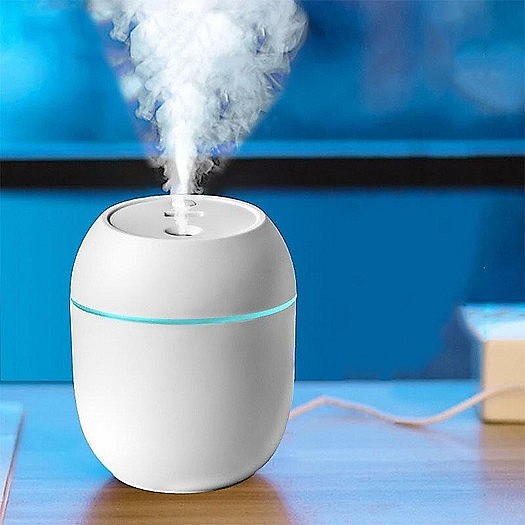 Sử dụng máy xông tinh dầu không đúng cách có thể tạo môi trường cho vi khuẩn phát triển