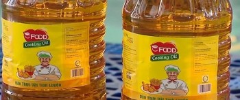 Chuyên gia cảnh báo tác hại của dầu cho chăn nuôi khi bị sử dụng cho người