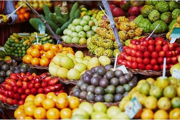 Xây dựng thương hiệu cho trái cây mùa vụ