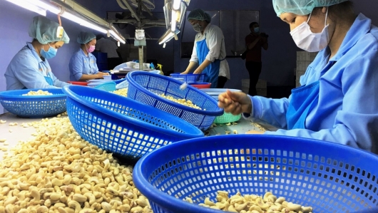 Việt Nam duy trì xuất siêu cao sang 4 thị trường CPTPP khu vực châu Mỹ