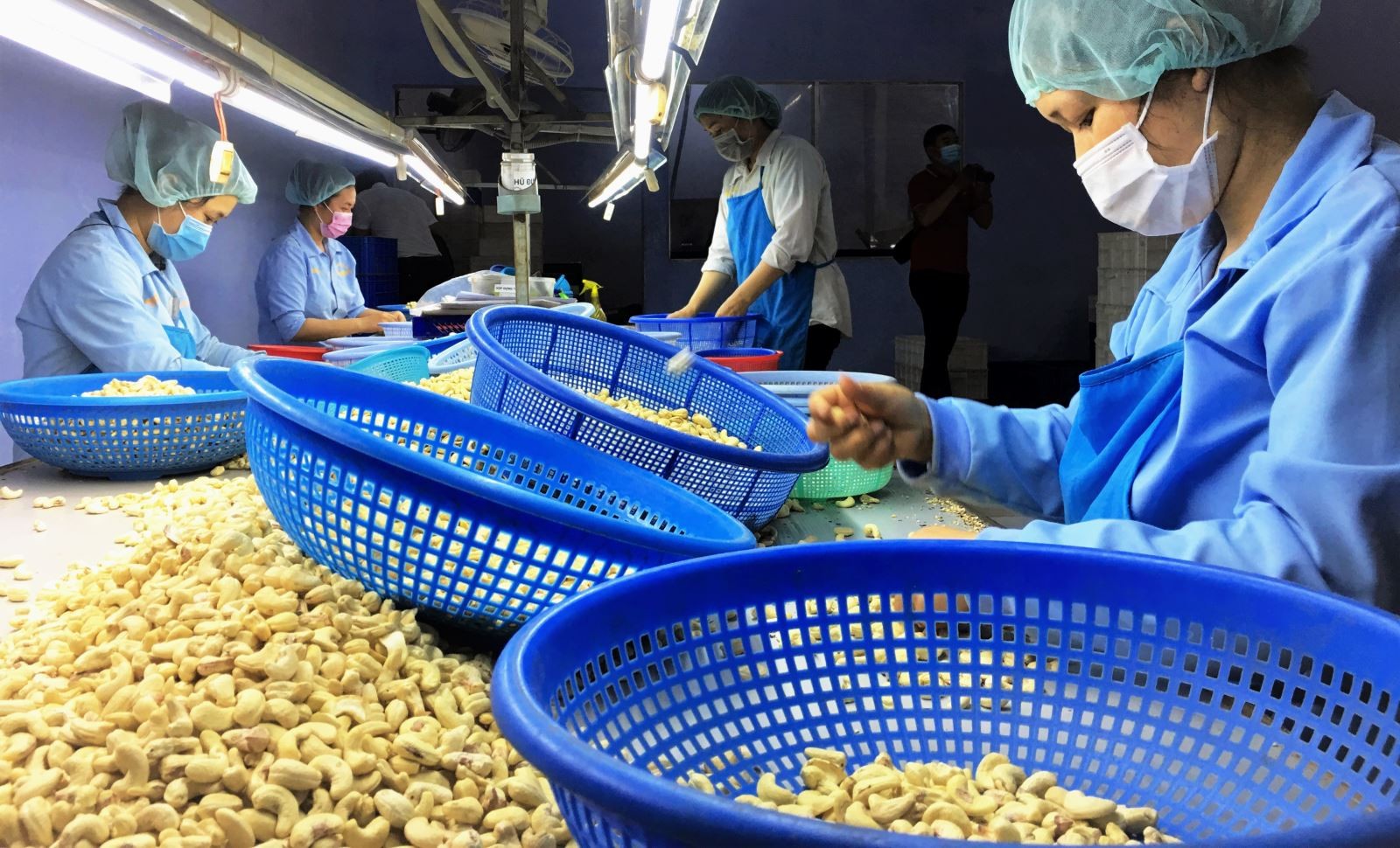 Việt Nam duy trì xuất siêu cao sang 4 thị trường CPTPP khu vực châu Mỹ
