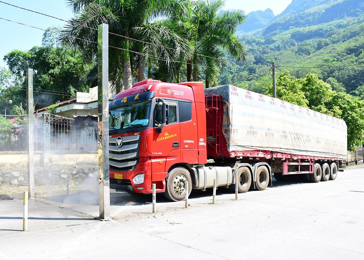 Tăng cường kiểm dịch tại cửa khẩu, ngăn chặn dịch Chikungunya xâm nhập Việt Nam