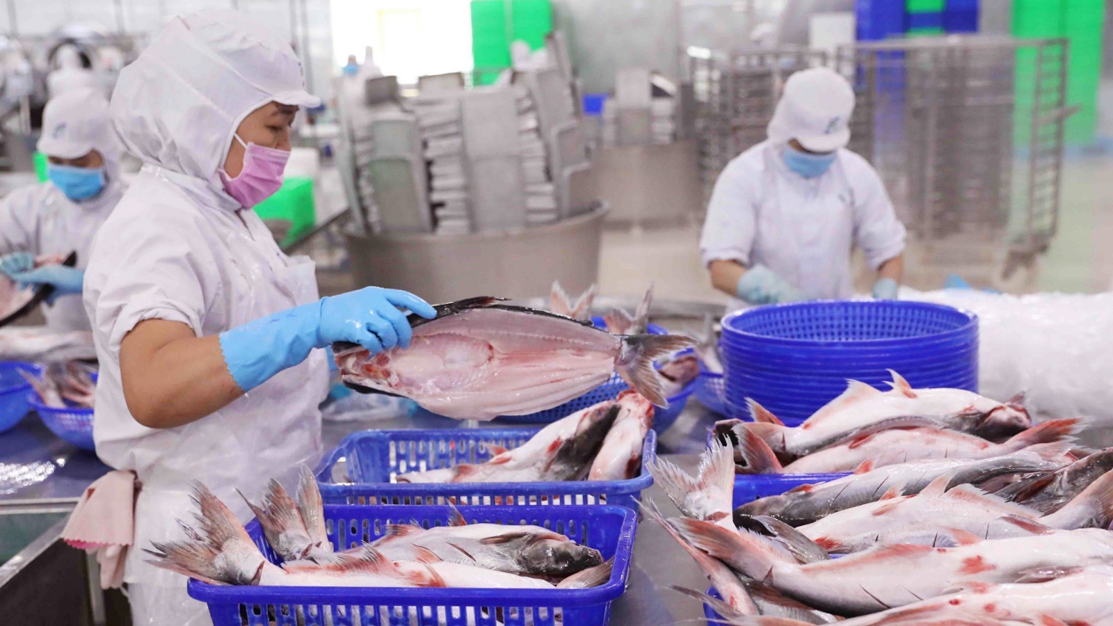 Việt Nam vươn lên vị trí thứ hai về xuất khẩu thủy sản sang Ấn Độ