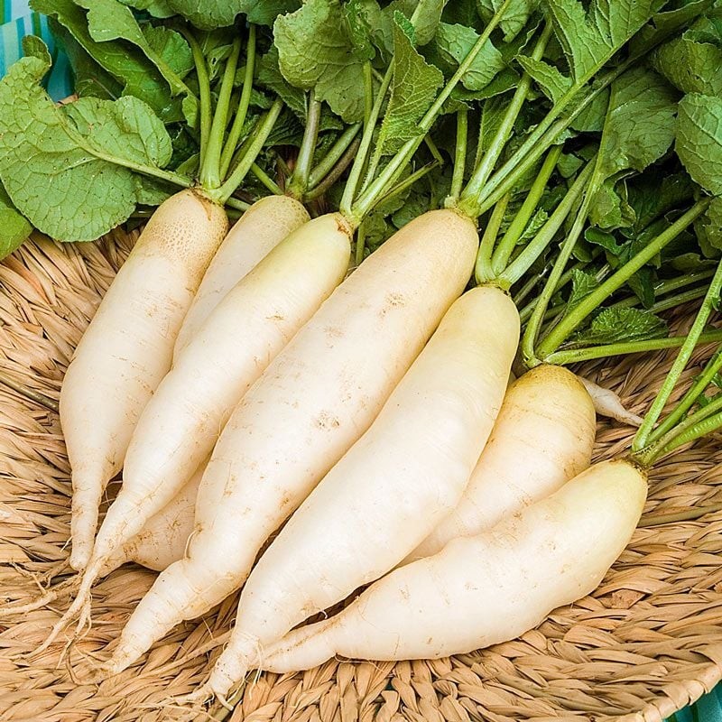 Các sản phẩm thiên nhiên giúp dưỡng sinh mùa thu