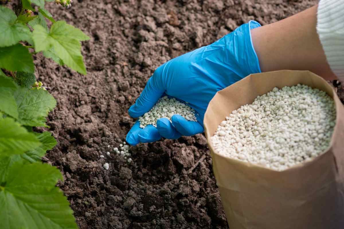 Giá phân bón dự báo hạ nhiệt từ 2026, thị trường bước vào chu kỳ điều chỉnh