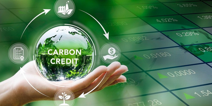Xây dựng bộ tiêu chuẩn cho tín chỉ carbon rừng: Bước đi chiến lược phát triển thị trường carbon Việt Nam