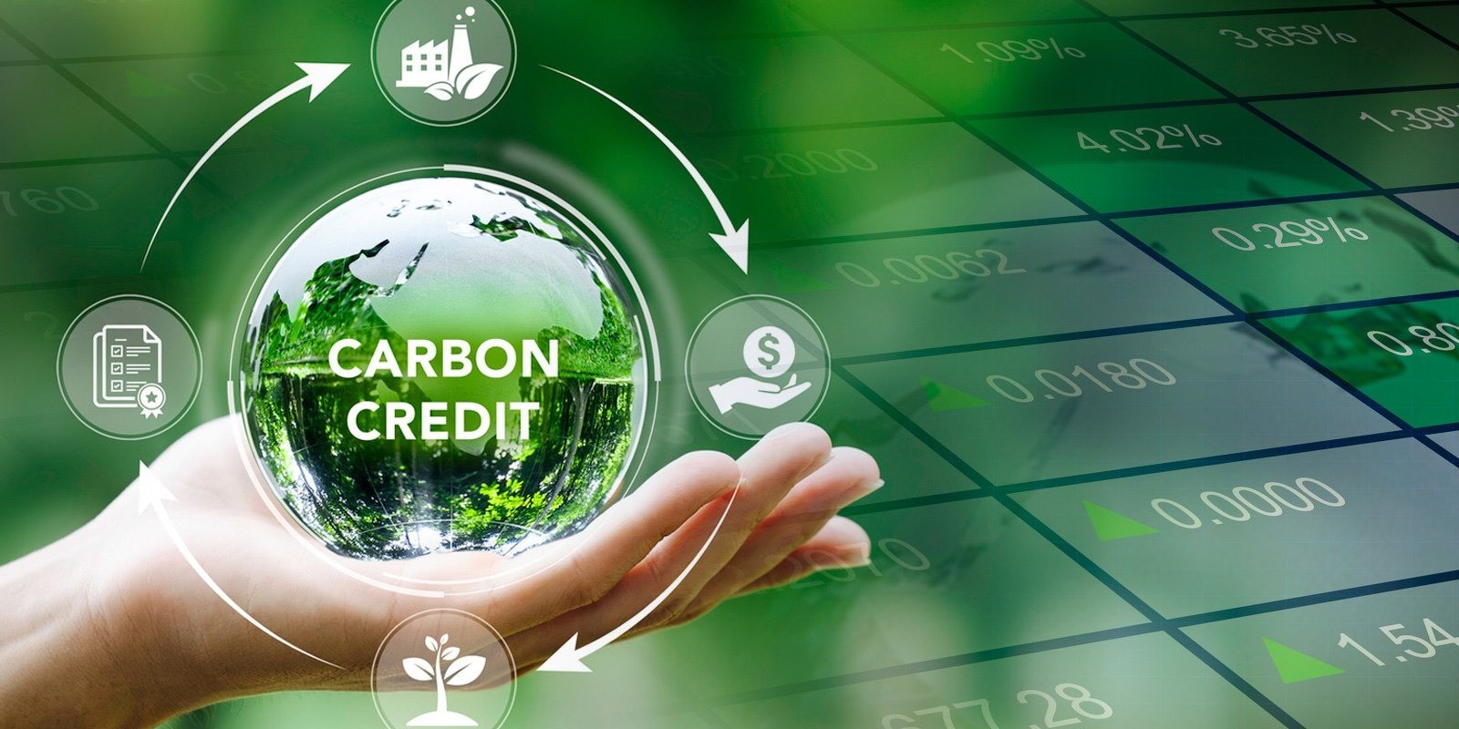 Xây dựng bộ tiêu chuẩn cho tín chỉ carbon rừng: Bước đi chiến lược phát triển thị trường carbon Việt Nam