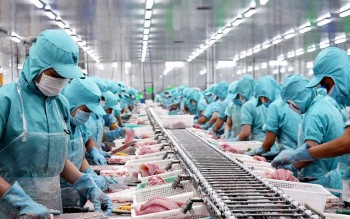 Xuất khẩu Việt Nam 2025: Doanh nghiệp tạo dựng sức bật mới
