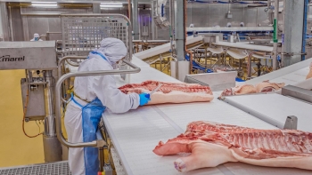 TP. Hồ Chí Minh dự kiến thí điểm sàn giao dịch thịt heo từ tháng 12