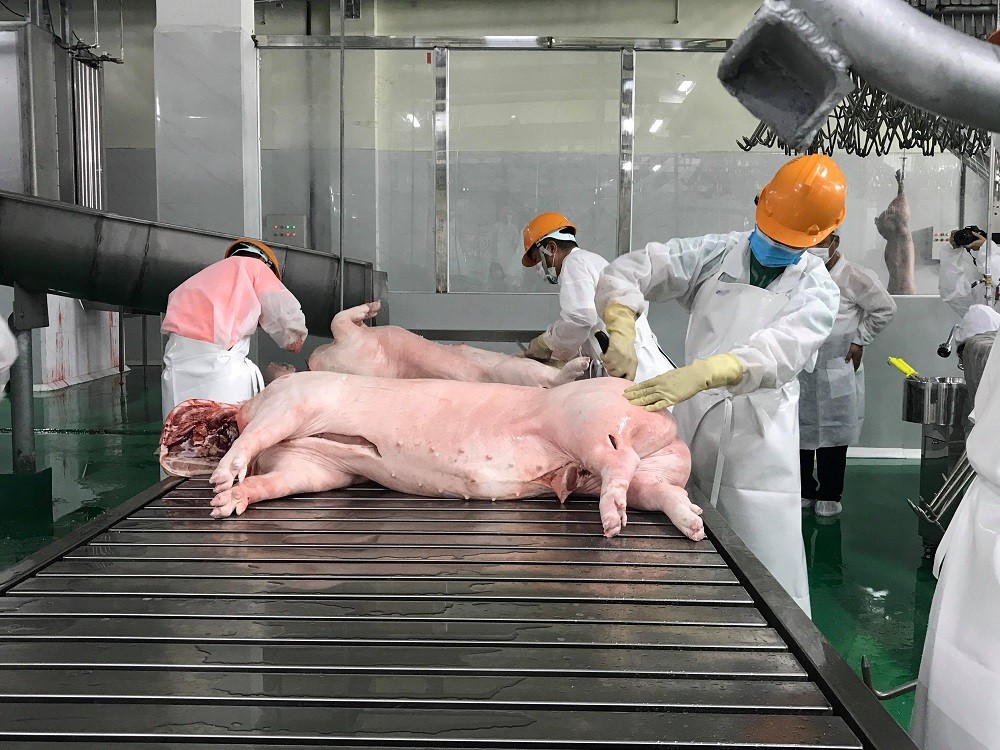 Hà Nội “dọn” lại thị trường thịt tươi sống: Xóa dần giết mổ nhỏ lẻ, siết chặt truy xuất nguồn gốc