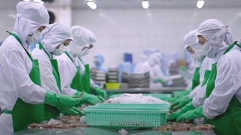 Thủy sản Việt Nam vững vị thế Top 3 tại thị trường Singapore