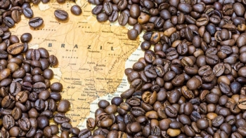 Xuất khẩu cà phê sang Anh tăng mạnh, Việt Nam vươn lên vị trí thứ hai sau Brazil