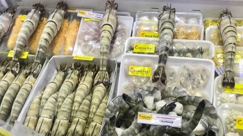 Xuất khẩu tôm Việt Nam tăng 22% nhờ nhu cầu phục hồi tại các thị trường lớn