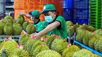 Bộ Nông nghiệp và Môi trường chỉ đạo khẩn gỡ “điểm nghẽn” xét nghiệm sầu riêng xuất khẩu