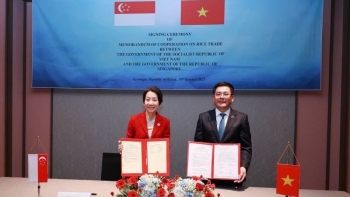 Việt Nam và Singapore mở rộng hợp tác thương mại gạo