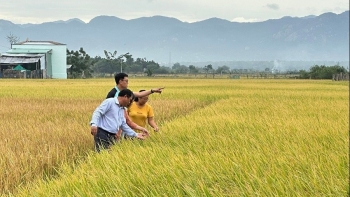 Khuyến nông cơ sở - “Cánh tay nối dài” giúp nông dân chuyển mình số hóa