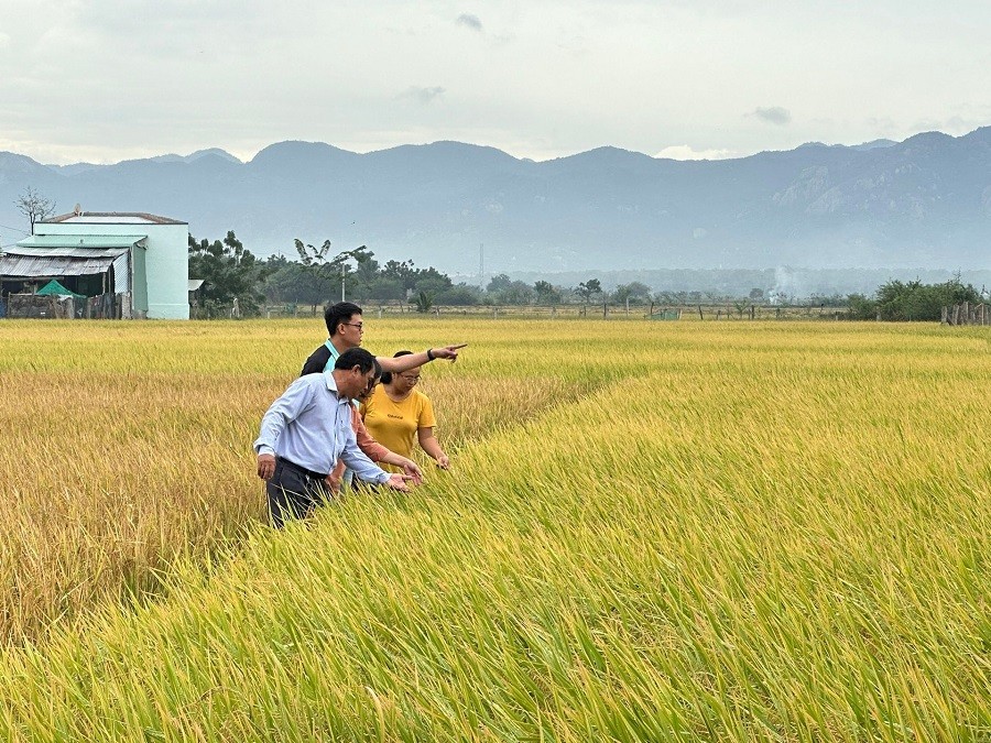 Khuyến nông cơ sở - “Cánh tay nối dài” giúp nông dân chuyển mình số hóa Khuyến nông cơ sở - “Cánh tay nối dài” giúp nông dân chuyển mình số hóa