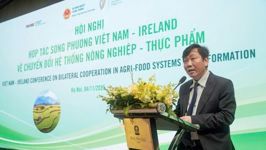 Việt Nam - Ireland mở rộng hợp tác hướng tới nền nông nghiệp xanh và bền vững