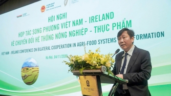 Việt Nam - Ireland mở rộng hợp tác hướng tới nền nông nghiệp xanh và bền vững